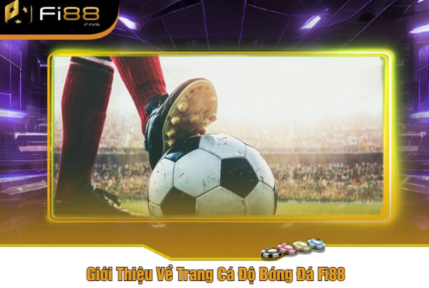 Giới Thiệu Về Trang Cá Độ Bóng Đá Fi88