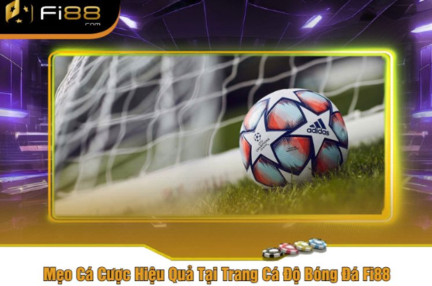 Mẹo Cá Cược Hiệu Quả Tại Trang Cá Độ Bóng Đá Fi88